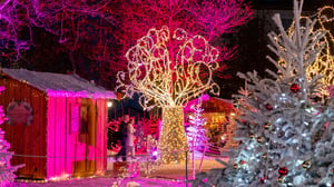 slider_arbre_magique