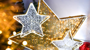 slider_showroom2025_noel